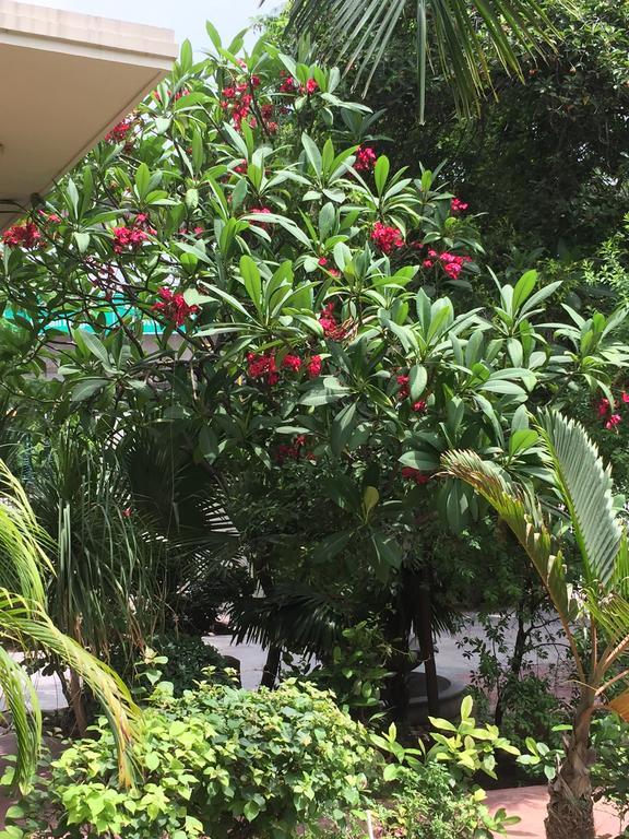Barwara Kothi Hotel Jaipur Ngoại thất bức ảnh